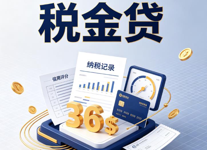 杭州滨江区1企业税贷|杭州滨江区1企业设备回租|杭州滨江区1税贷过桥